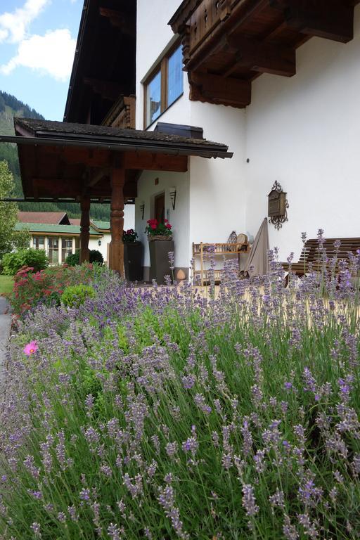Apartamento Falger *